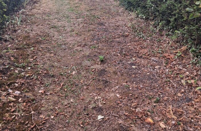 Vente Terrain à bâtir 300 m&sup2; — photo 3