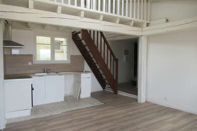 Appartement 3 pièces 569 €