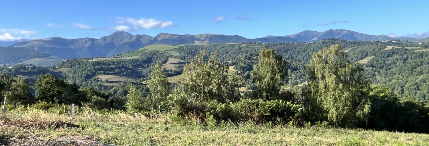 Terrain  12475 m² à vendre à Astugue (65200)