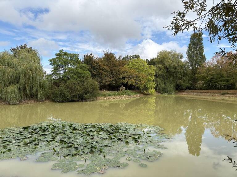 Etang — photo 1