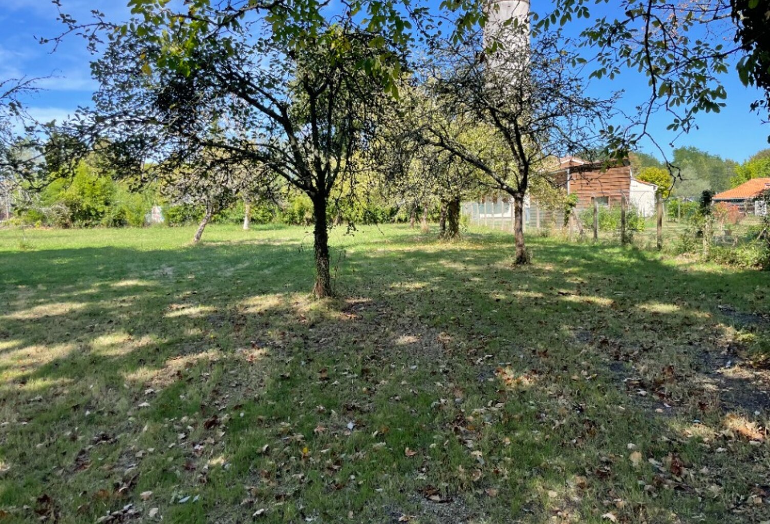 Terrain à bâtir à Le Tuzan (33125) — photo 1