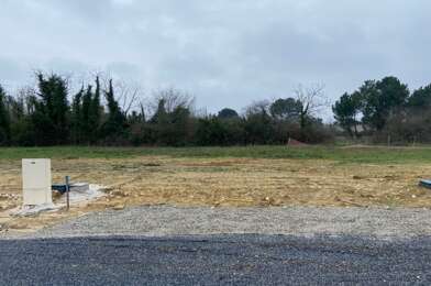Terrain  247000 €