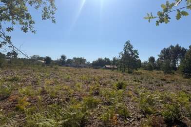 Terrain  117000 €