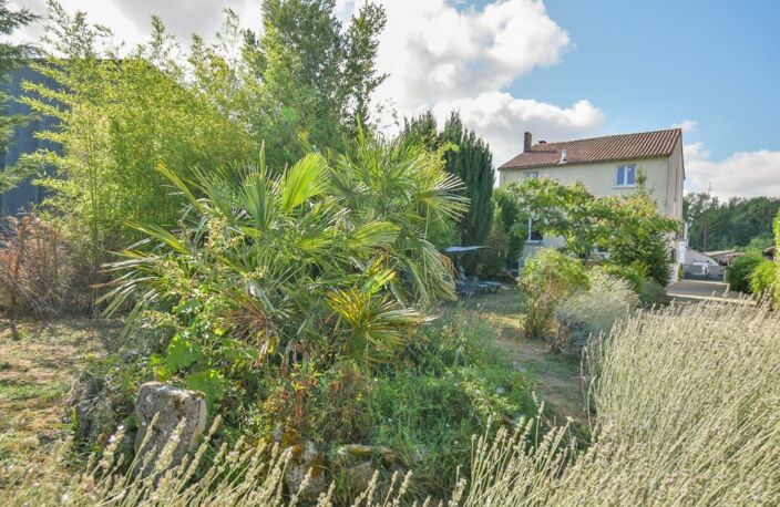 Maison rénovée de 4 chambres avec chatterie professionnelle — photo 4