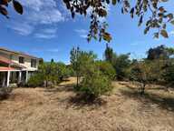 Maison familiale au calme, avec jardin de 919 m² — photo 4