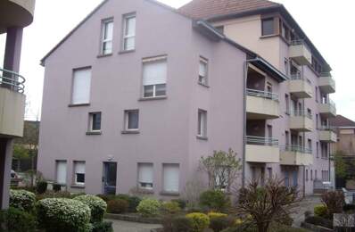 Studio de 25m2 à louer sur Belfort — photo du bien