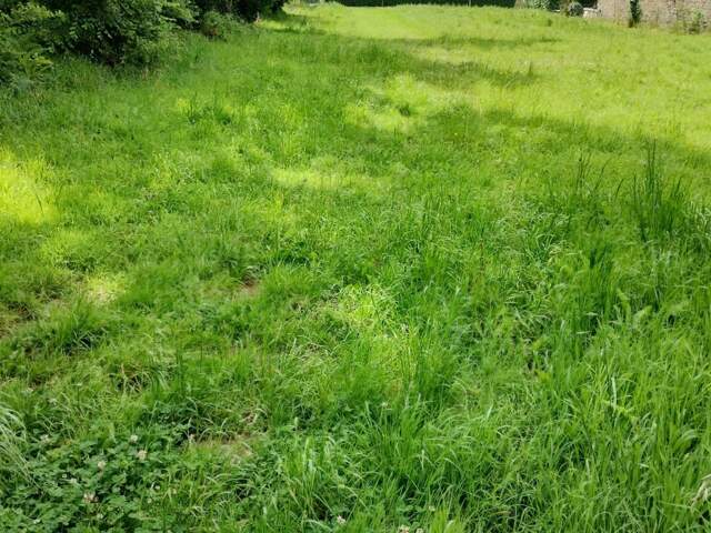 Terrain à vendre  COMBRIT (29) le calme de la campagne — photo du bien