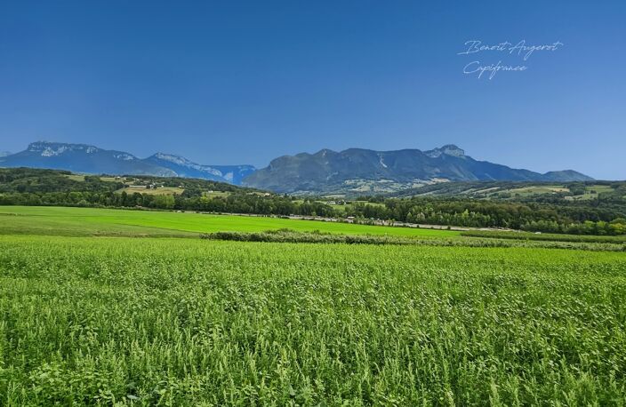 GROISY – TERRAIN A BATIR DE 1 054 M² AVEC MAGNIFIQUE VUE — photo 2