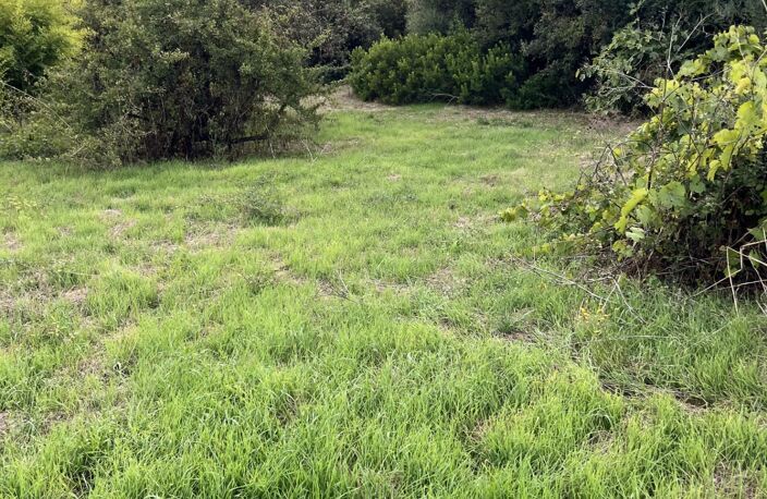 Terrain à vendre   Exclusif– Terrain à bâtir arboré  de 2 000 m² avec bergerie et vue mer  hauts de BaracciOLMETO (20) — photo 3
