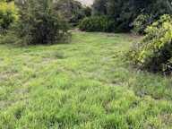 Terrain à vendre Exclusif– Terrain à bâtir arboré  de 2 000 m² avec vue mer  OLMETO (20) — photo 3