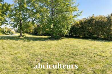 Terrain  250000 €