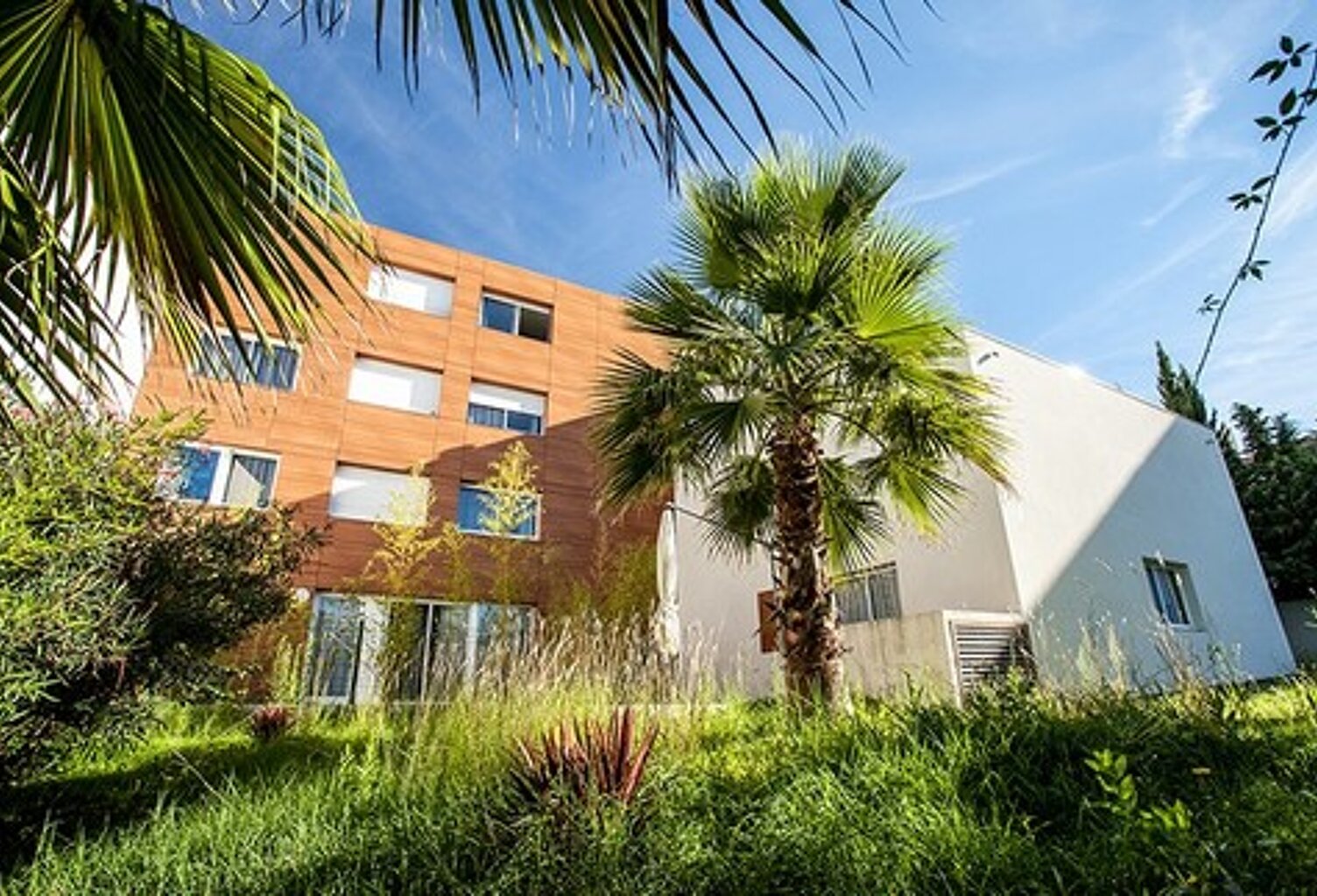 Montpellier : Idéal investissement locatif — photo 1