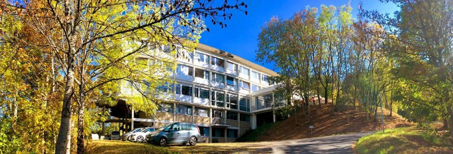 Appartement 1 Pièce 18 m² à vendre à Riom-ès-Montagnes (15400)