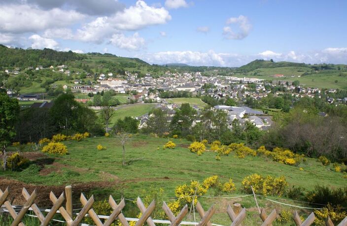 RIOM-ES-MONTAGNES  : Idéal investissement locatif — photo 3