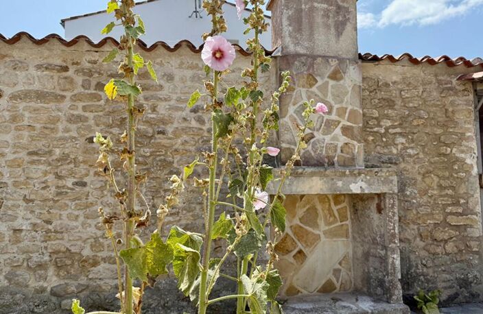 Maison au coeur du village de LOIX à 5 min de l'océan - 5 pièces de 121 m2 — photo 3