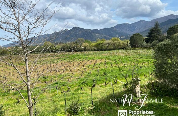 Villa Laroque Des Alberes 7 pièces 207 m2 au coeur des vignes — photo 5