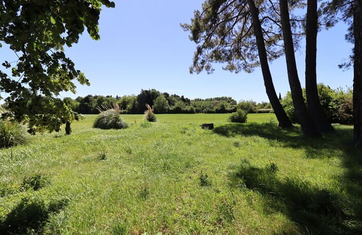 Maison Montfavet 9 pièce(s) 280 m2 — photo 4