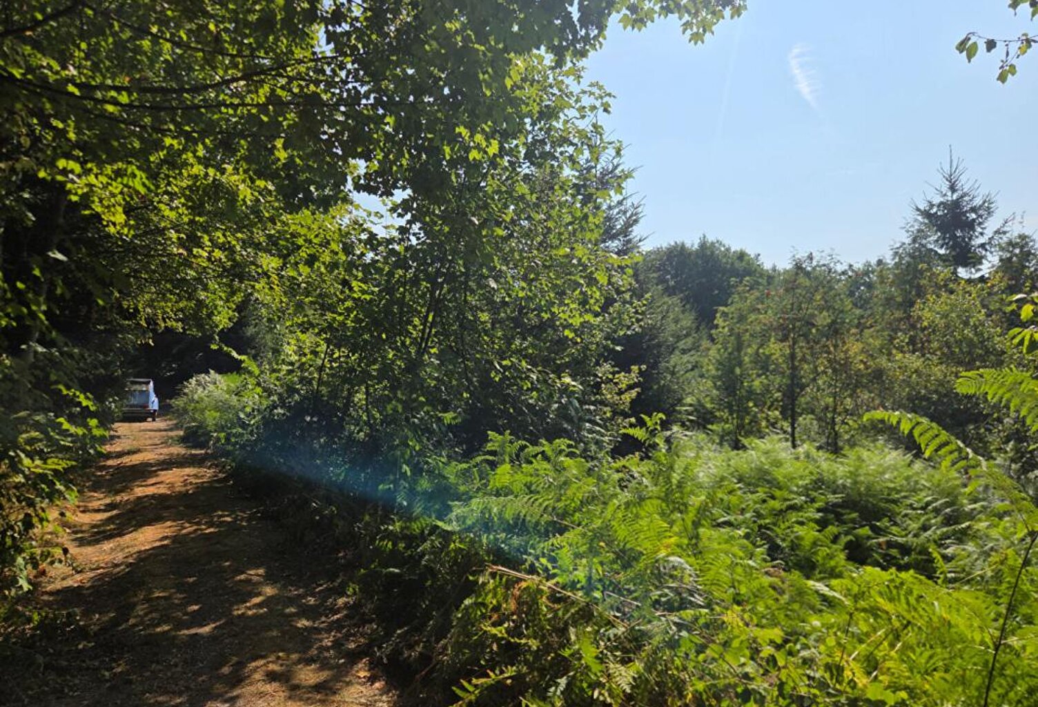 Terrain 16790 m2 — photo 1