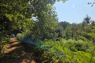Terrain  59000 €