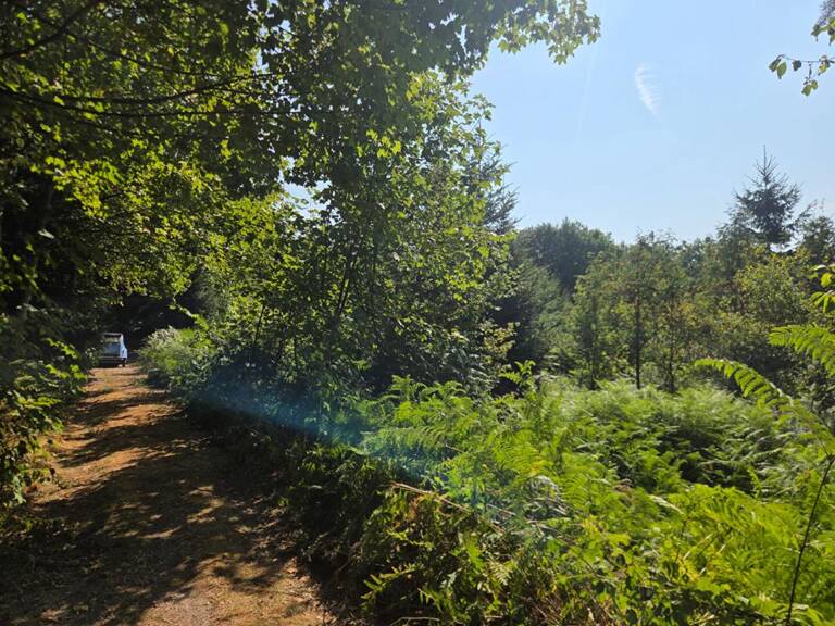 Terrain 16790 m2 — photo 1