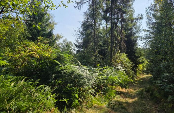 Terrain 16790 m2 — photo 2