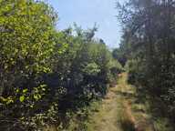 Terrain 16790 m2 — photo 3