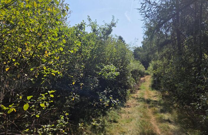 Terrain 16790 m2 — photo 3