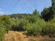 Terrain 16790 m2 — photo 4