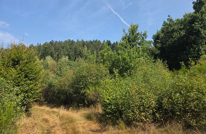 Terrain 16790 m2 — photo 4