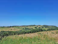 Corps de ferme Tamnies 250 m2 — photo 4