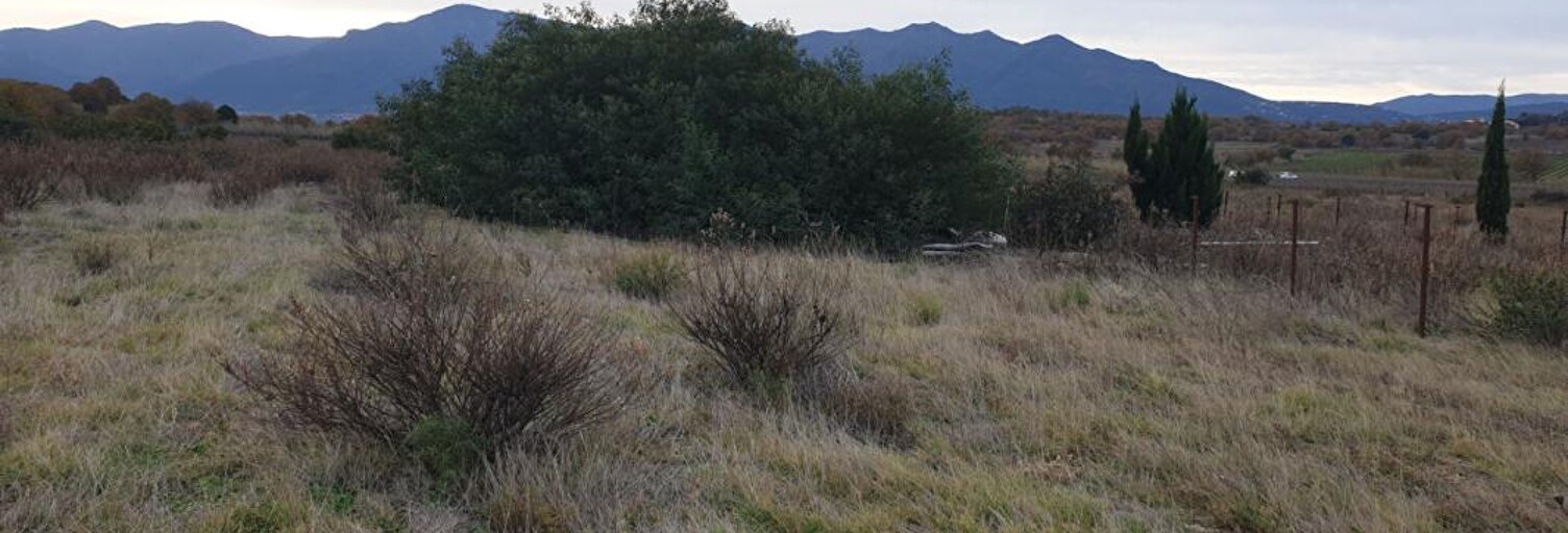 Terrain  9000 m² à vendre à Banyuls-dels-Aspres (66300)