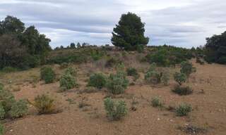 Terrain  10000 m² à vendre à Tordères (66300)
