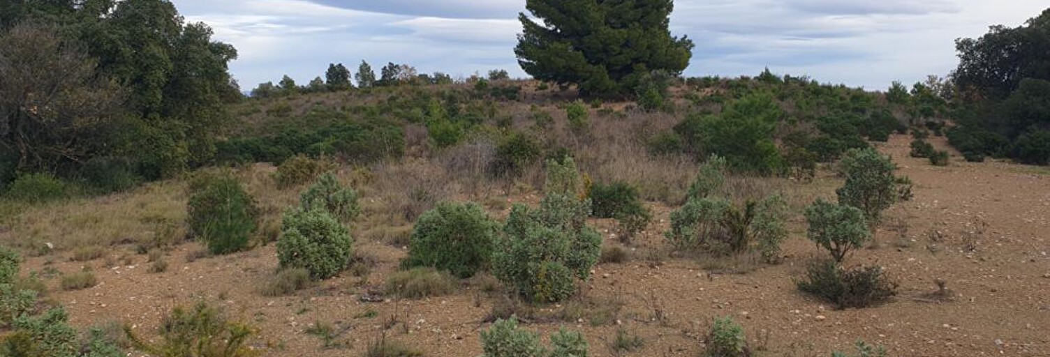 Terrain  10000 m² à vendre à Tordères (66300)