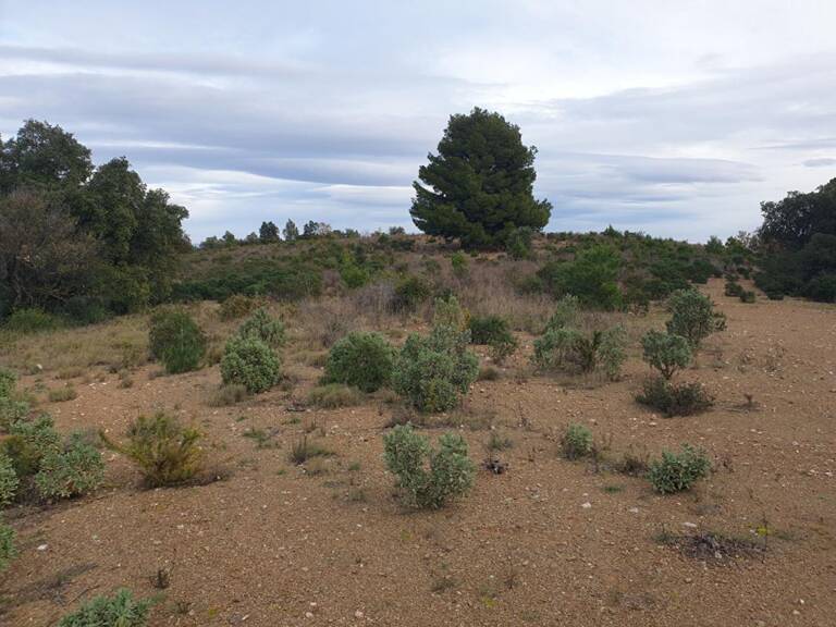 Terrain agricole de 1 hectare sur Torderes — photo 1