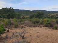 Terrain agricole de 1 hectare sur Torderes — photo 4