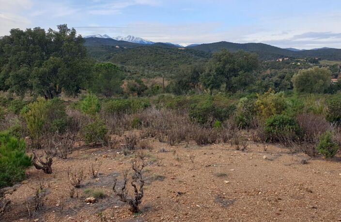 Terrain agricole de 1 hectare sur Torderes — photo 4