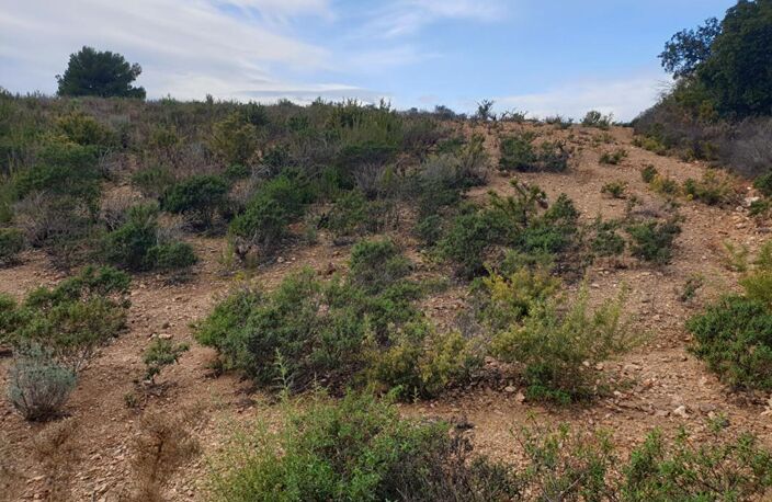Terrain agricole de 1 hectare sur Torderes — photo 5