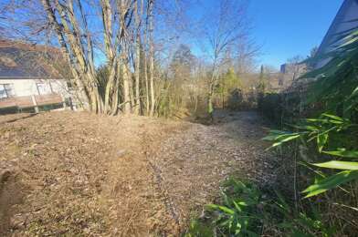 Terrain  29000 €