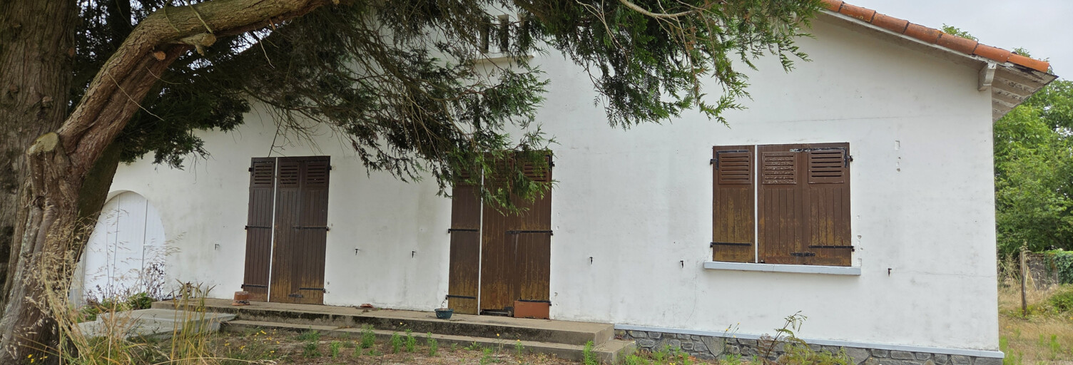 Photo N° 2