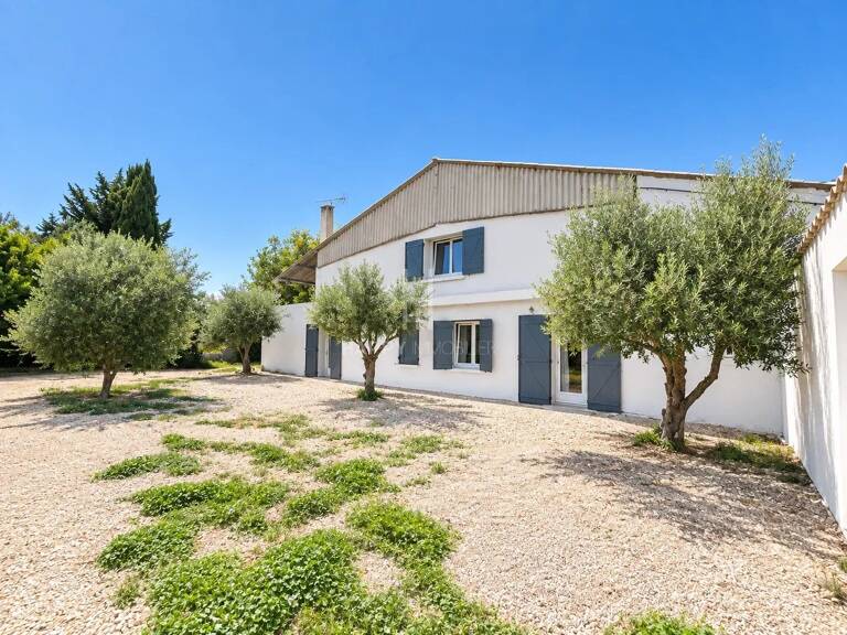 Propriété sur 2,75 hectares à Saint Martin de Crau — photo 1