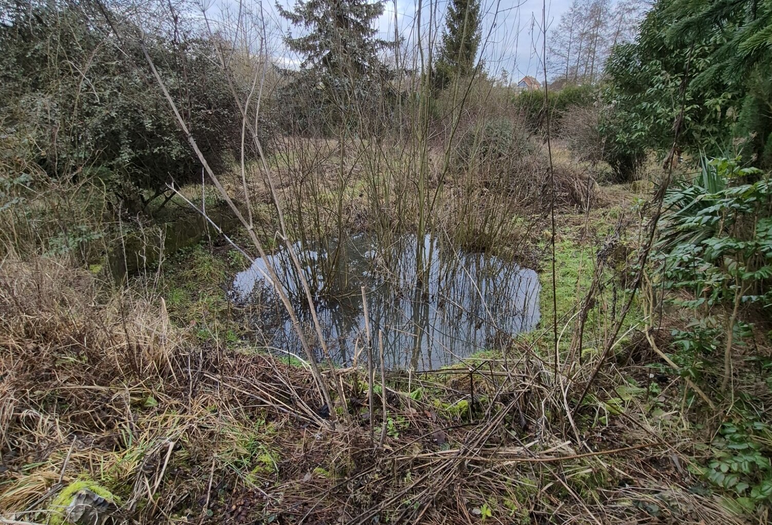 Vente Surface diverse 3 940 m&sup2; — photo 1
