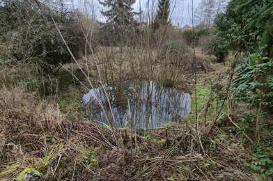 Terrain  62000 €