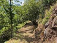BELVÉDÈRE  GRANGE À RESTRUCTURER SUR TERRAIN DE 6 730 M² — photo 2