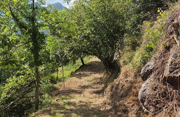 BELVÉDÈRE  GRANGE À RESTRUCTURER SUR TERRAIN DE 6 730 M² — photo 2