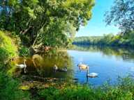 Valdivienne- Belle maison de campagne au calme — photo 2