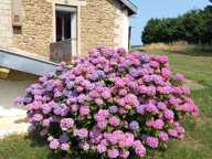 Vente Maison de campagne 6 pièces — photo 3