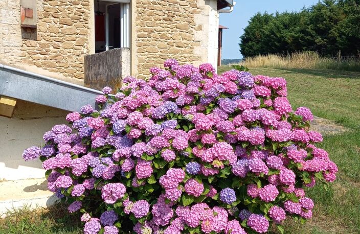 Vente Maison de campagne 6 pièces — photo 3