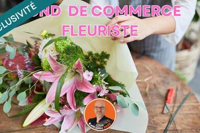 Commerce  120000 €