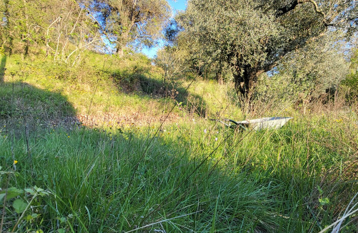 Haut de villa à Contes : terrain, annexes et piscine — photo 4