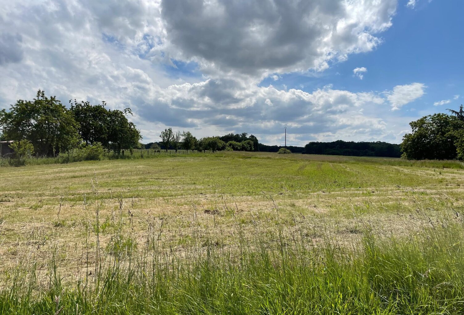 Situé à Saint-Sérotin, dans la paisible commune de 89140 — photo 1